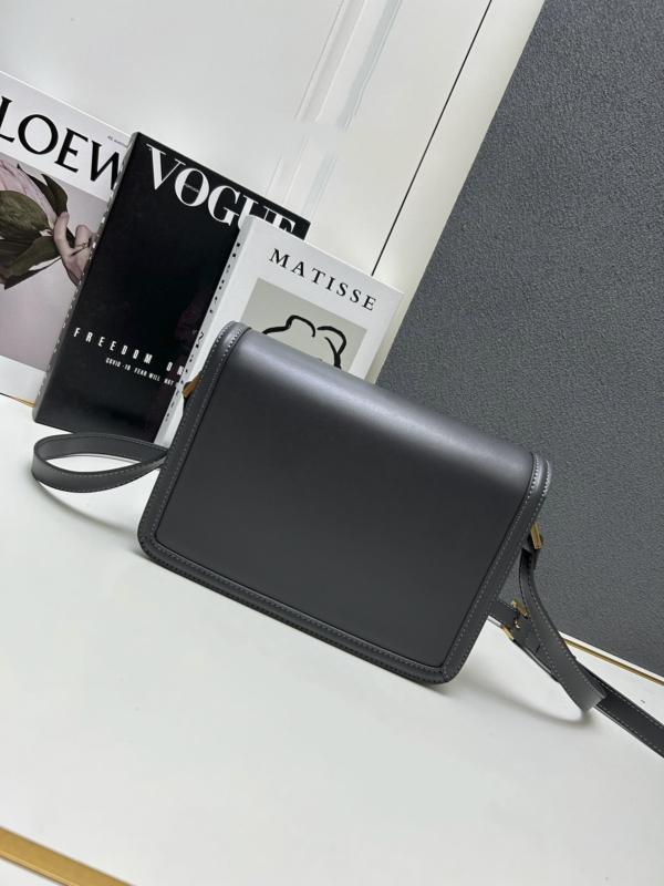 Bolsas Saint Laurent_Z12088